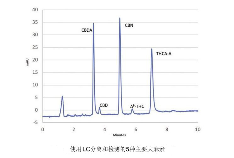 高效液相色譜儀測定CBD含量 應用于水果保持更長時間的新鮮度